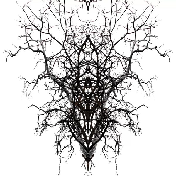 Abstract Floral & Botanical: Self-Similarity by Irena Orlov