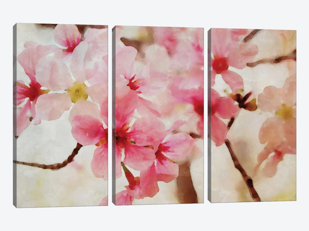 Cherry Flowers II by Irena Orlov 3-piece Canvas Print
