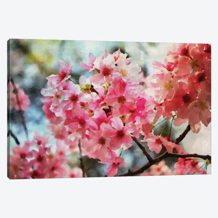 Cherry Flowers IV Canvas Print #ORL17} by Irena Orlov Canvas Wall Art