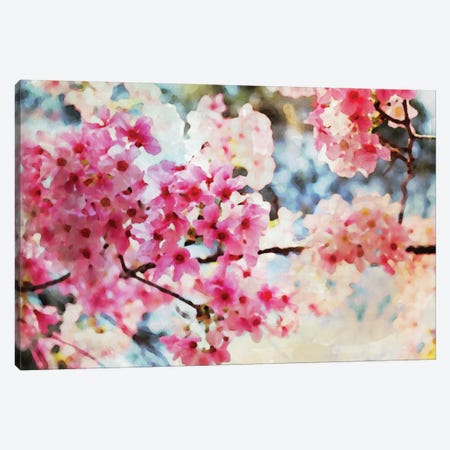 Cherry Flowers V Canvas Print #ORL18} by Irena Orlov Art Print