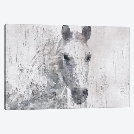 Dapple Horse I Canvas Print #ORL191} by Irena Orlov Canvas Wall Art