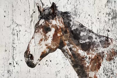 Galaxy Horse II by Irena Orlov canvas print