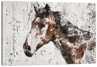 Galaxy Horse II Canvas Art Print - Irena Orlov