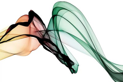 Invisible World I by Irena Orlov framed wall art