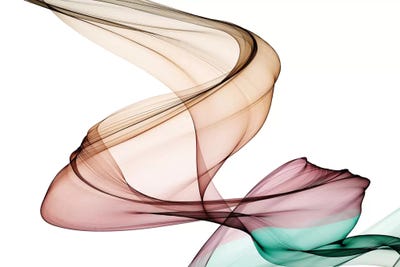 Invisible World III by Irena Orlov framed wall art