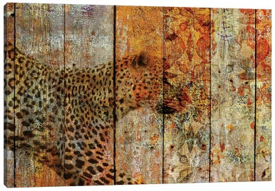 Runner Canvas Art Print - Cheetah Art