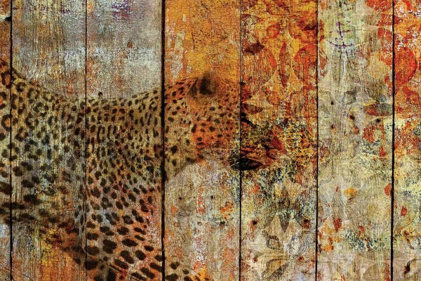 Cheetahs: Runner by Irena Orlov