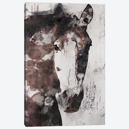 Gorgeous Horse IV Canvas Print #ORL21} by Irena Orlov Canvas Wall Art