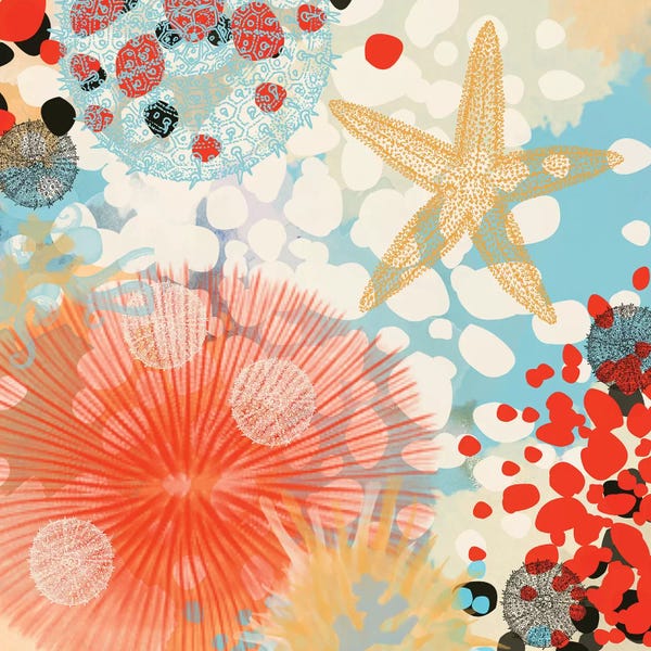 Starfish: Exotic Sea Life II by Irena Orlov