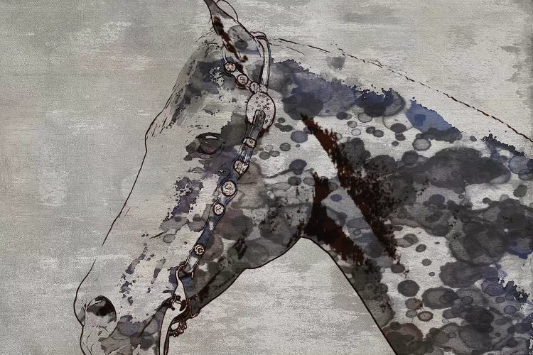 Black Ghost Horse II by Irena Orlov wall art