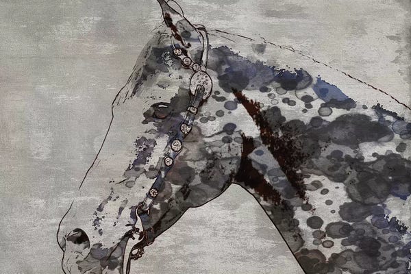 Irena Orlov: Black Ghost Horse II by Irena Orlov