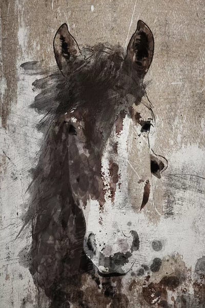 Dream Horse V by Irena Orlov framed wall art