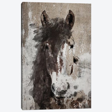 Dream Horse V Canvas Print #ORL239} by Irena Orlov Art Print
