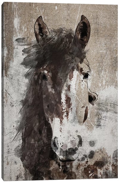 Dream Horse V Canvas Art Print - Irena Orlov