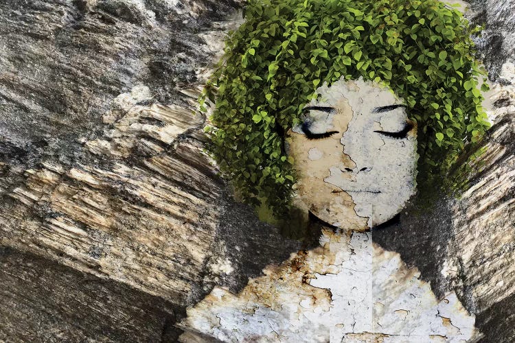 Nature III by Irena Orlov wall art