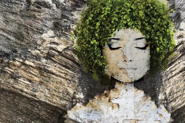 Irena Orlov: Nature III by Irena Orlov