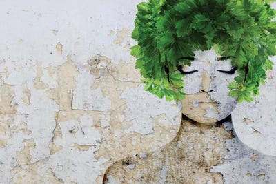 Nature VI by Irena Orlov framed wall art