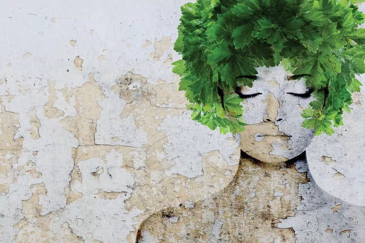 Nature VI by Irena Orlov wall art