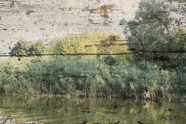 Irena Orlov: Rustic Landscape XXV by Irena Orlov