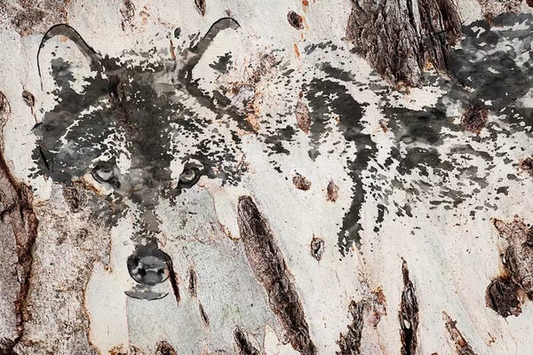 Wolves: Rustic Wolf III by Irena Orlov