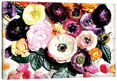 Shabby Chic Flowers XXXIX-B Canvas Art Print - Indian Décor