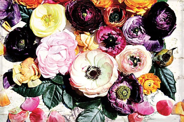 Ranunculi: Shabby Chic Flowers XXXIX-B by Irena Orlov