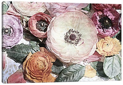 Shabby Chic Flowers LXXXI Canvas Art Print - Ranunculus Art