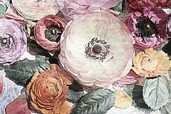 Shabby Chic Flowers LXXXI