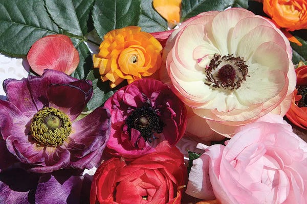 Indian Décor: Shabby Chic Flowers LXXXIII by Irena Orlov