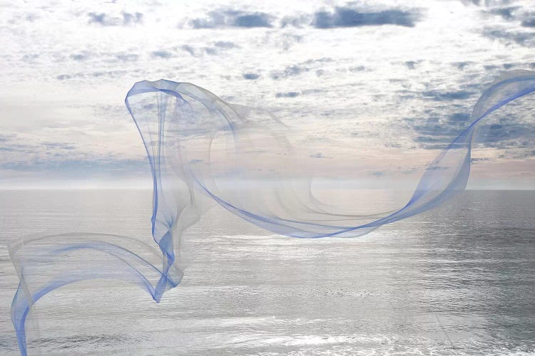 Silver Ocean Breeze XI by Irena Orlov canvas print