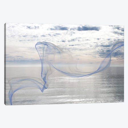 Silver Ocean Breeze XI Canvas Print #ORL269} by Irena Orlov Canvas Wall Art