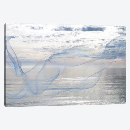 Silver Ocean Breeze XVI Canvas Print #ORL270} by Irena Orlov Canvas Art Print