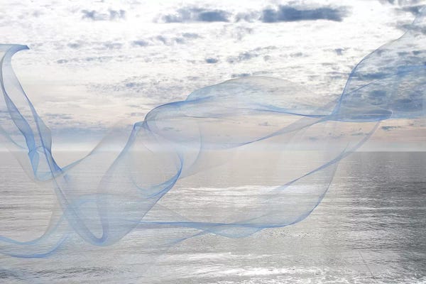 Irena Orlov: Silver Ocean Breeze XVI by Irena Orlov