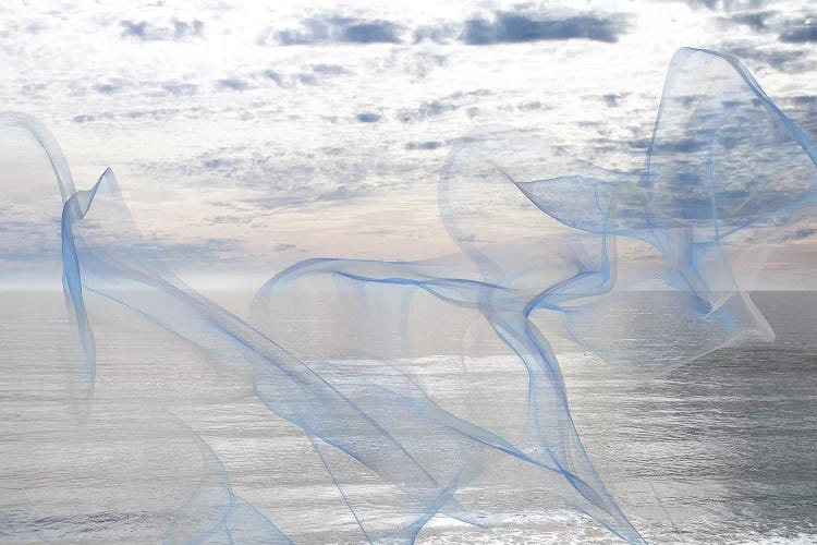 Silver Ocean Breeze XVII by Irena Orlov canvas print