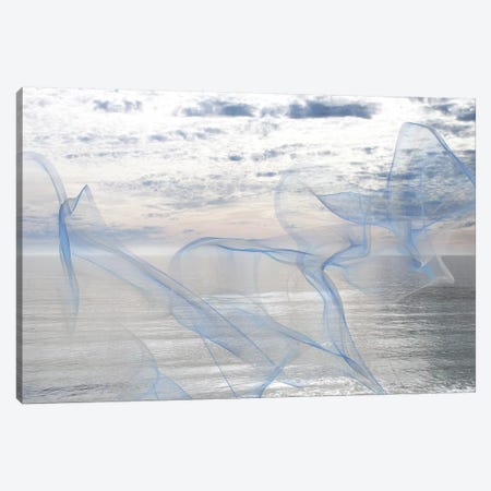 Silver Ocean Breeze XVII Canvas Print #ORL271} by Irena Orlov Canvas Print