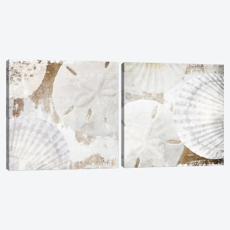 White Shells Diptych Canvas Print Set #ORL2HSET001} by Irena Orlov Canvas Artwork