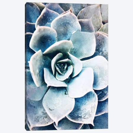 Pastel Succulent Beauty III Canvas Print #ORL304} by Irena Orlov Canvas Wall Art