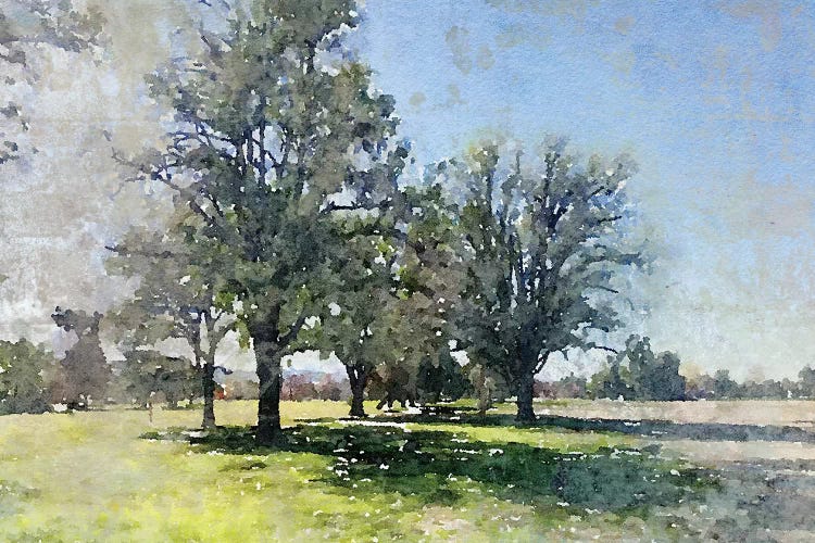 A Walk In The Spring I by Irena Orlov wall art