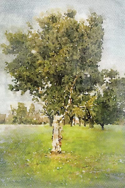 A Walk In The Spring II by Irena Orlov framed wall art