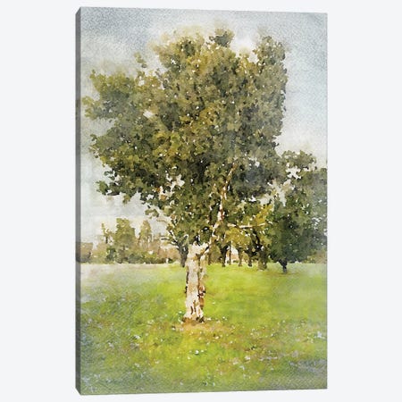 A Walk In The Spring II Canvas Print #ORL317} by Irena Orlov Art Print
