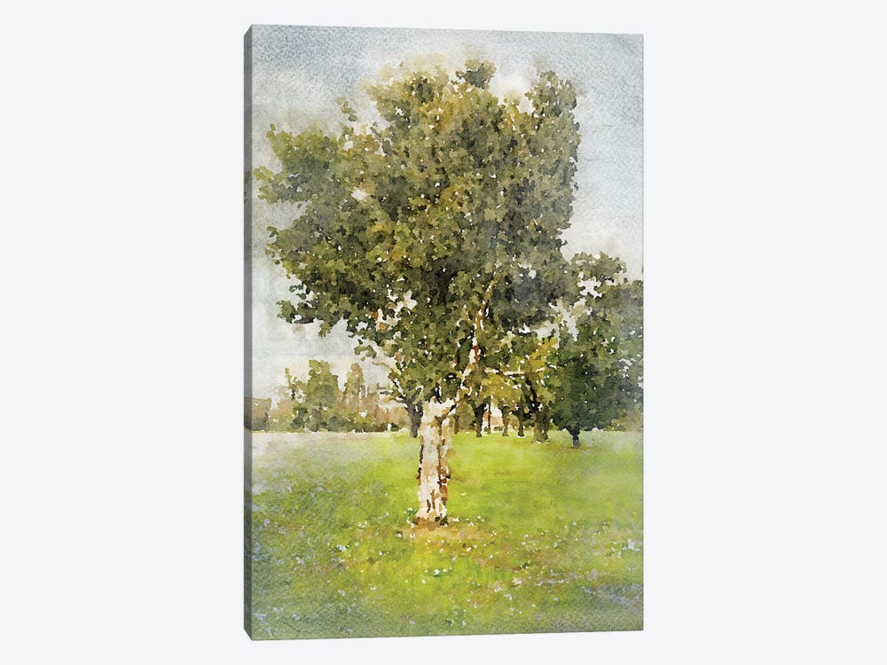 A Walk In The Spring II by Irena Orlov 1-piece Canvas Art Print