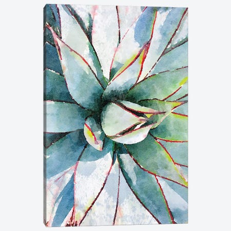 Agave In The Desert I Canvas Print #ORL320} by Irena Orlov Canvas Art Print