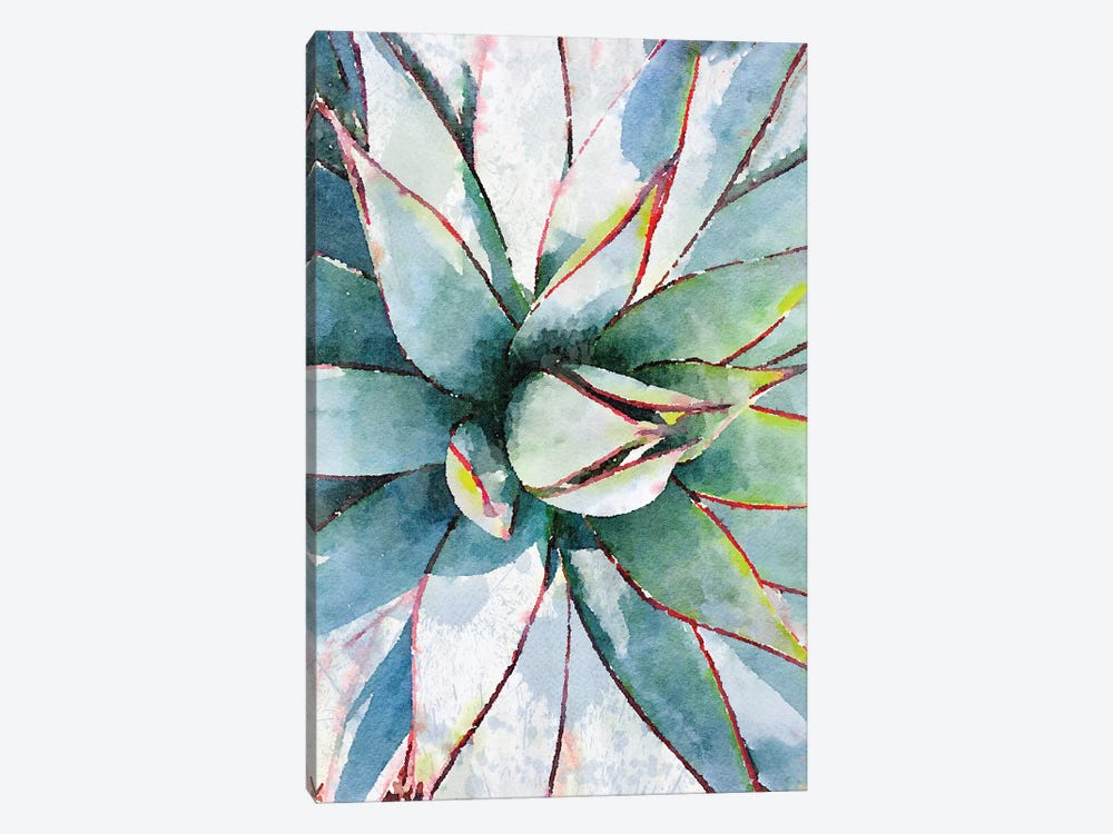 Agave In The Desert I by Irena Orlov 1-piece Art Print