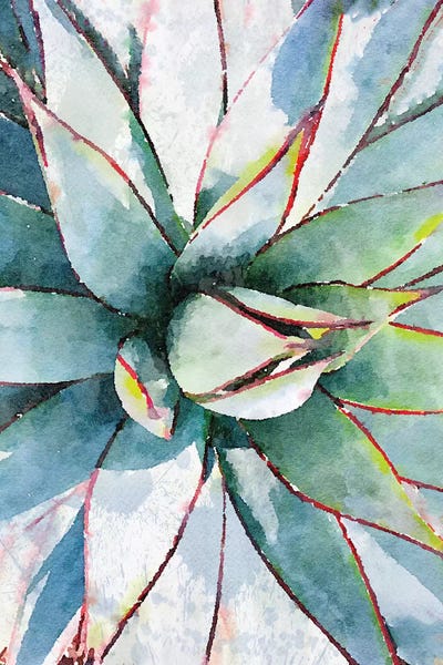 Irena Orlov: Agave In The Desert I by Irena Orlov
