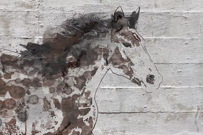 Arizona Horse by Irena Orlov framed wall art