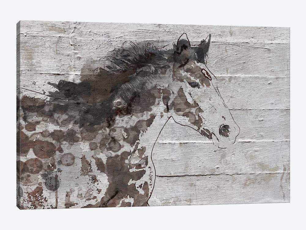 Arizona Horse by Irena Orlov 1-piece Canvas Wall Art