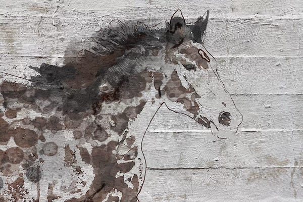 Irena Orlov: Arizona Horse by Irena Orlov