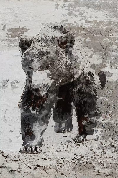 Irena Orlov: Brown Bear Walking by Irena Orlov
