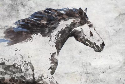 Brown Blue Majestic Horse  by Irena Orlov framed wall art