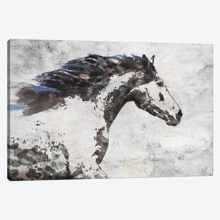 Brown Blue Majestic Horse  Canvas Print #ORL329} by Irena Orlov Canvas Art Print